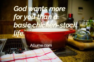 Chicken stock life