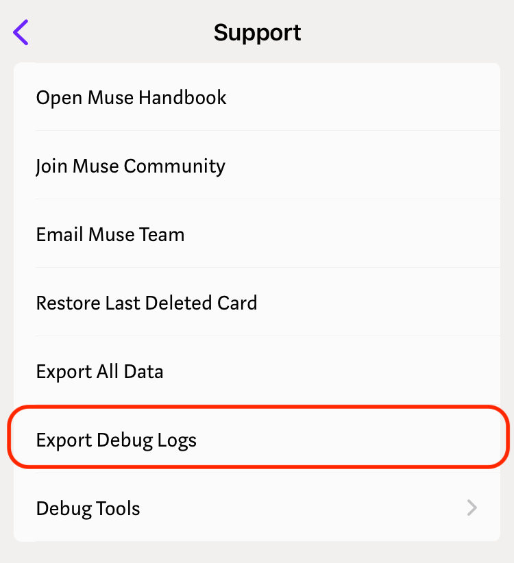 Export Debug Logs on iPhone